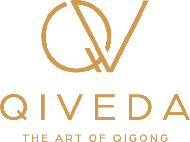 Qiveda logo