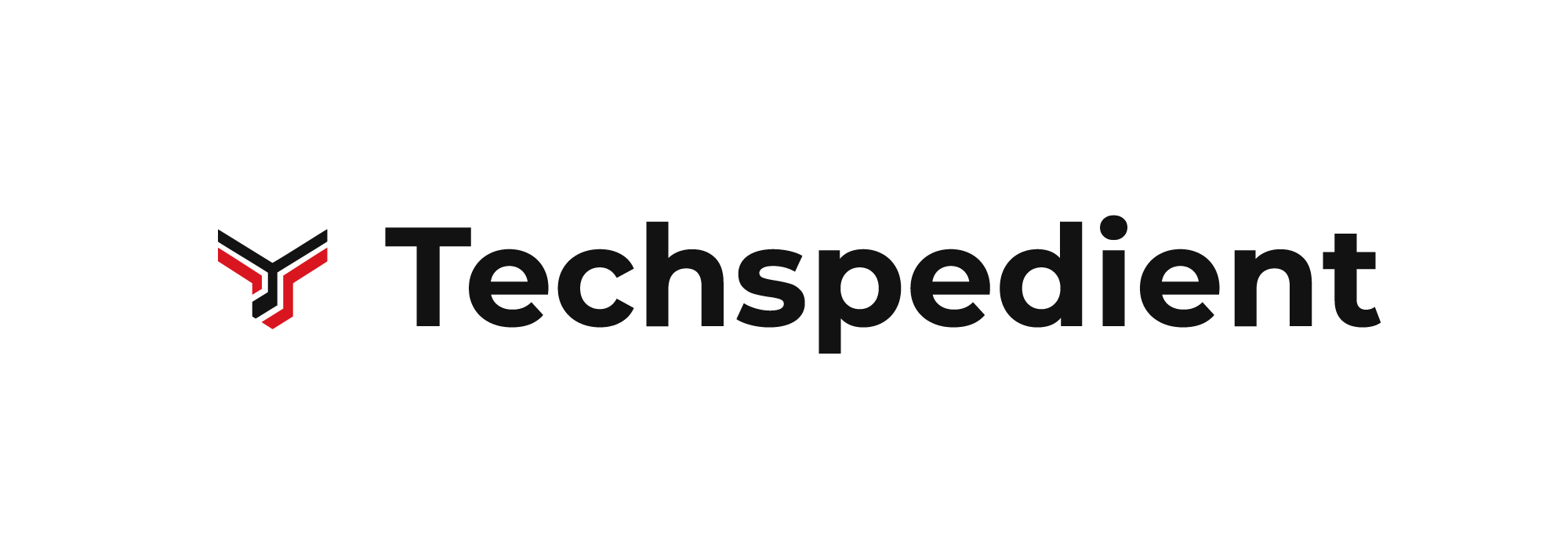 Techspedient Networks logo